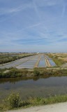 Zoutpannen op Ile de Re