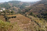 corgo dal ( zijrivier van de Douro