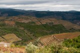 Douro