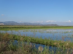 Natuurpark El Marjal