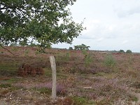 Nationaal Park Grote Peel