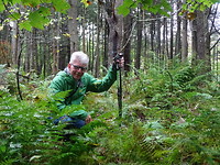 Mast Landing Forest