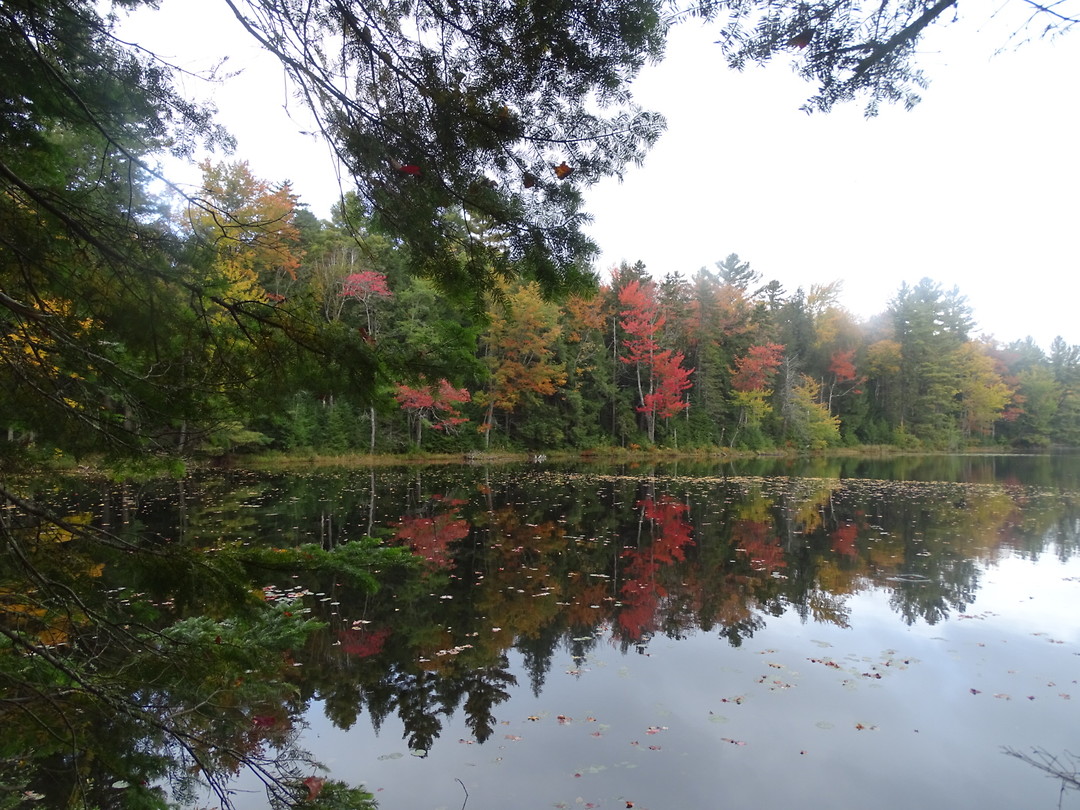Lowell Lake State Park
