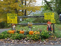 Sugarbush Farm
