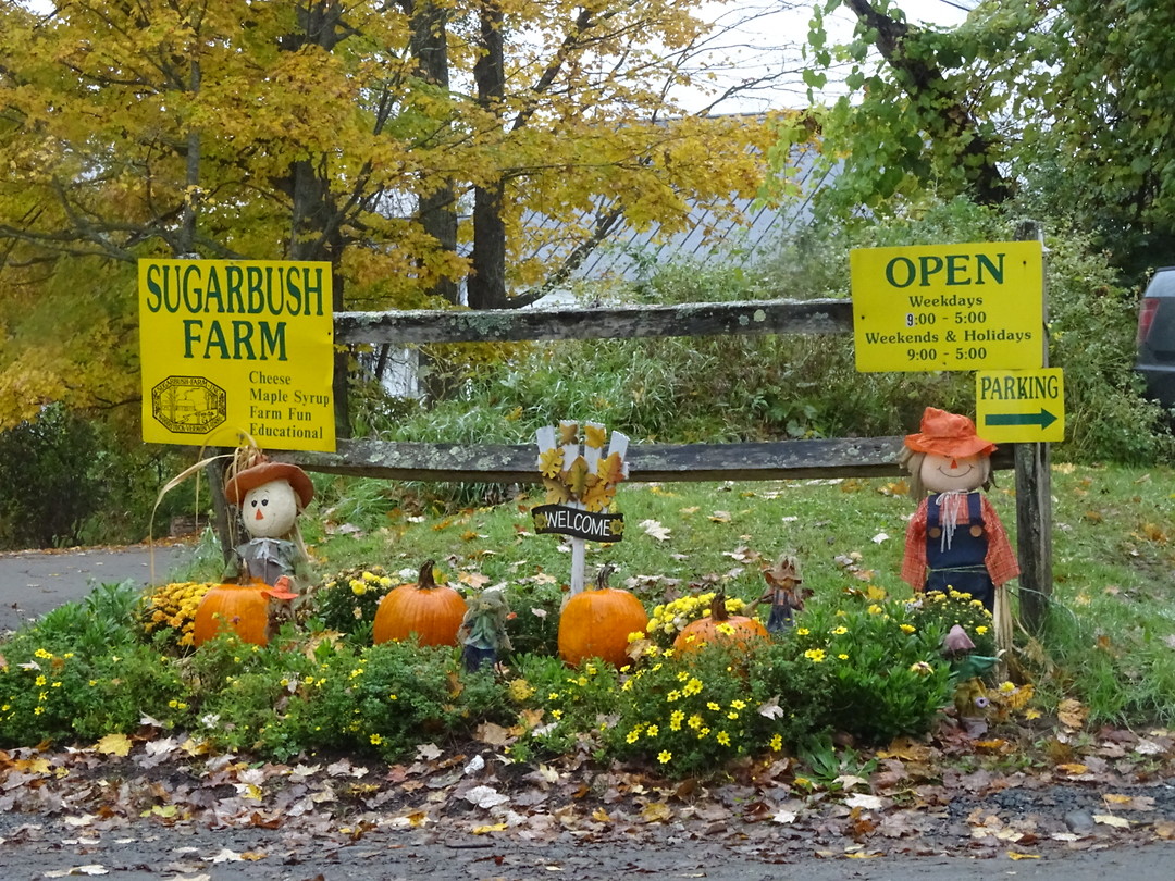 Sugarbush Farm