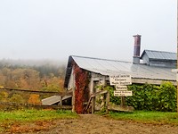 Sugarbush Farm
