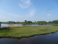Steinhorster Becken
