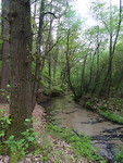 Furlbachtal