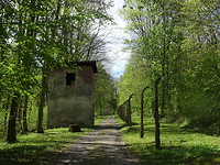 Buchenwald