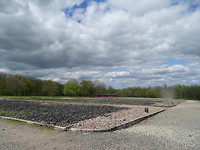 Buchenwald