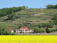 Uitzicht op de wijngaarden
