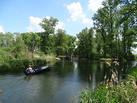Op de Spree