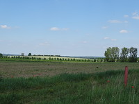 Panorama Obstroute