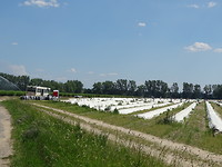 Apergevelden bij Brandenburg an der Havel