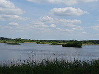 Vogelreservaat bij Meissendorf