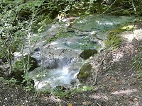 Nacedero de Urederra