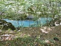 Nacedero de Urederra