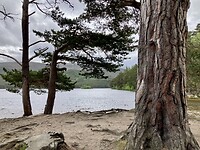Loch Morlich