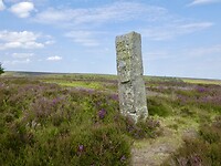 North Yorkshire Moors