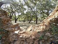 Wandeling tussen de haciënda’s in Aracena
