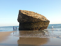 Torre de la Higuera