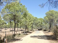 Via Verde del molinos agua