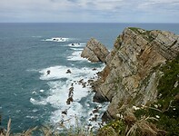 Kuit bij Cabo de Peñas