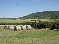 Kali Bassin