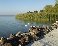 Balatonmeer bij de camping