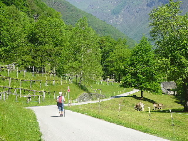 Aan de wandel door Vall Maggia