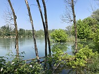 Wandelen langs de Ticino