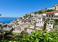 Riomaggiore