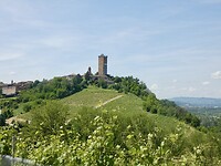 Zicht op Barbaresco tijdens de wandeling