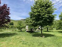 Mooi plekje op de camping