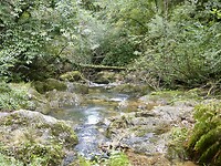 Wandelen langs de Nive