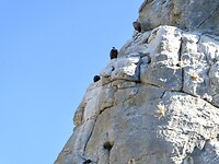 P1000283