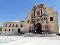 Basiliek Vera Cruz