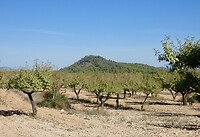 Landschap waar de via verd doorgaat