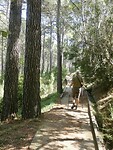 Wandelen langs de kanaaltjes in Sierra Espuña