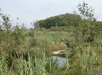 Natuurpark Aiguamolls de Empordá