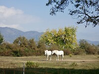 Natuurpark Aiguamolls de Empordá