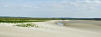 Strand bij laagtij