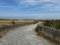 Duine bij Cayeux-sur-mer