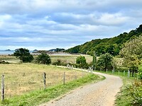 Wandelpad bij de camping