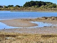Rivier de Crach