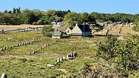 Menhirveld