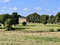 Fietsen door bocage landschap