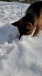 Sneeuwpret