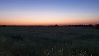 20220513_065202