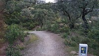 20220514_070210